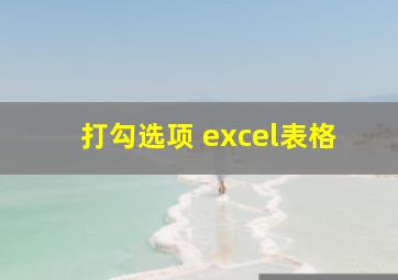 打勾选项 excel表格